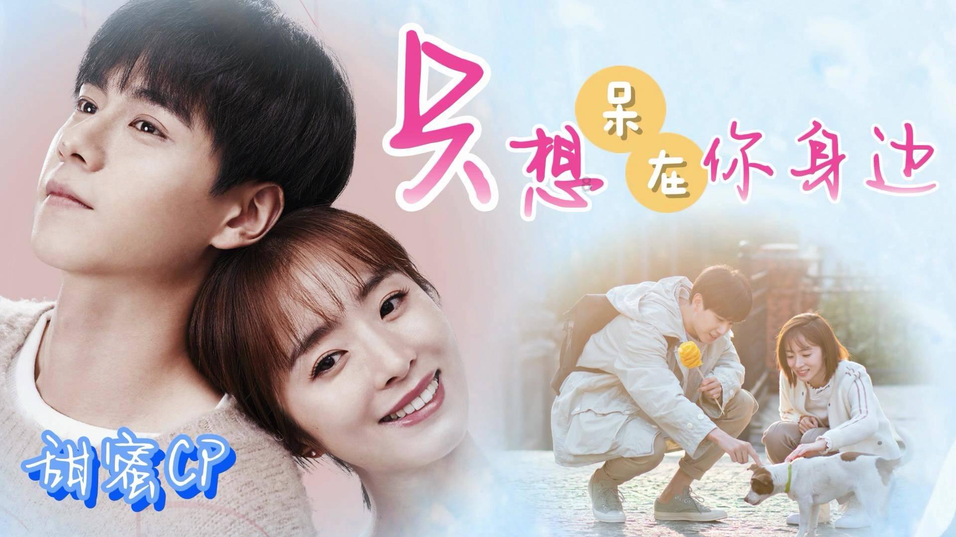 小猫钓鱼正版下载中文版